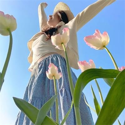 侠女十三妹